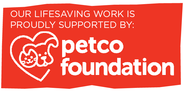 Thank You Petco Foundation Low Cost Spay Neuter In Mn