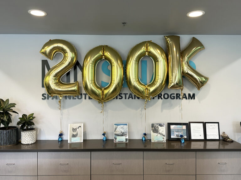 Celebrating 200K Surgeries and 14 Years of MN SNAP!