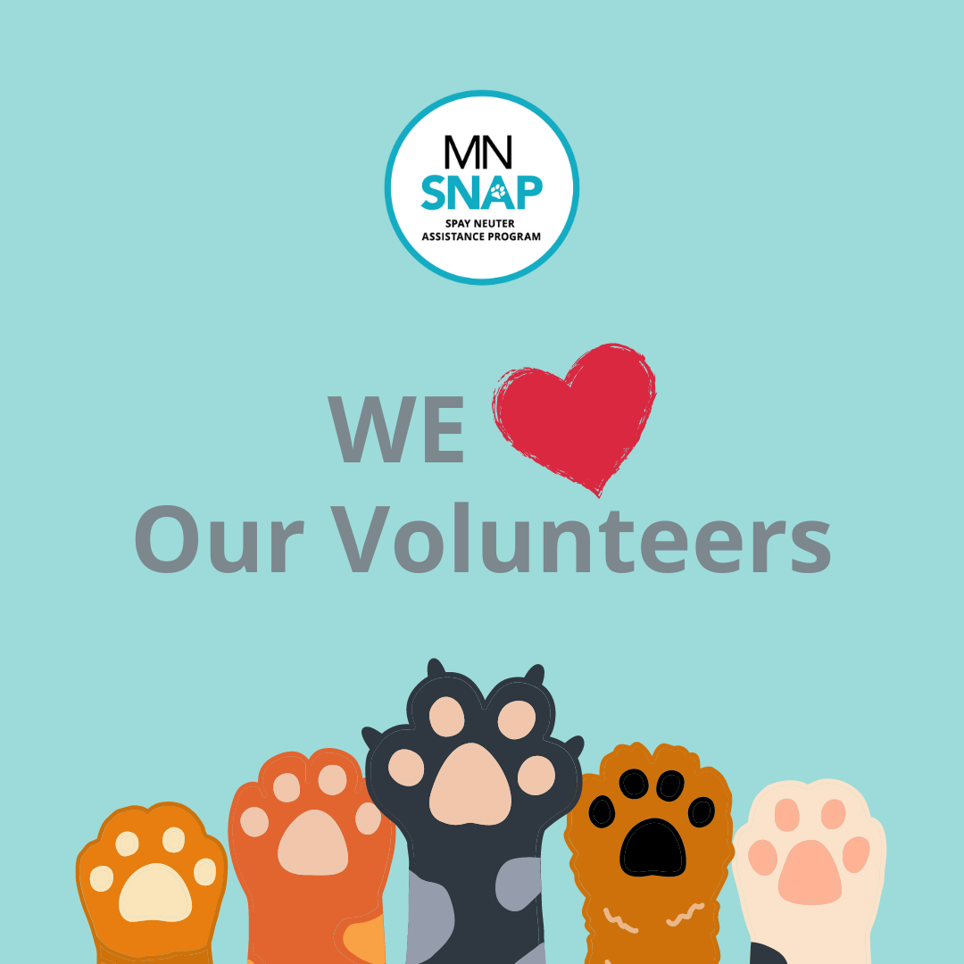 Happy National Volunteer Week And Global Volunteer Month Minnesota Spayneuter Assistance Program 8247