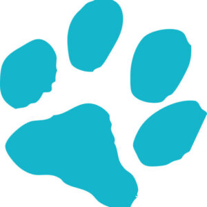 MN SNAP's blue paw print logo. MN SNAP is a high-quality, low cost spay neuter clinic. VIsit our website to learn more about our low cast, accessible services and register for surgery.