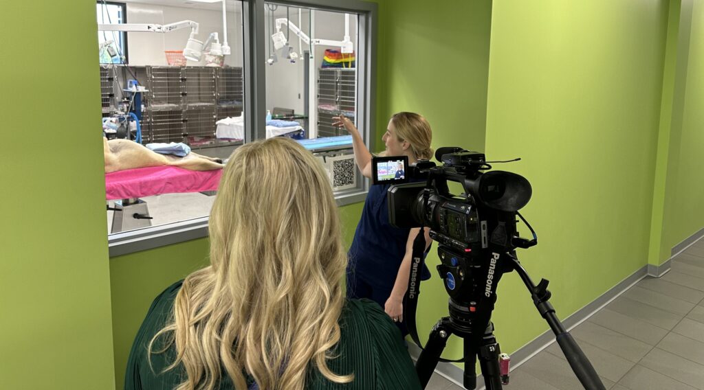 Dr. Madeleine Little, DVM being interviewed by WCCO-TV's Beret Leone at MN SNAP's headquarters based in North Minneapolis, MN. Find information on media requests on this webpage.