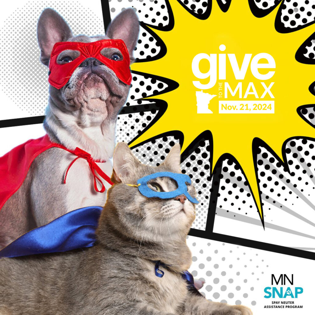 A dog and cat in superhero masks and capes look to the sky with cartoon book style graphics behind them for GTMD 2024.