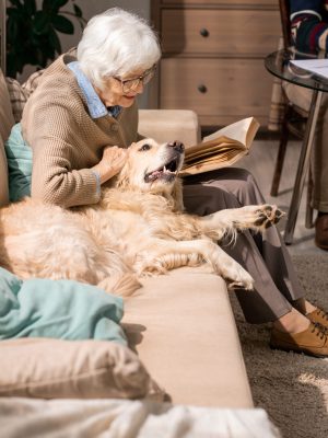 Portrait of adorable senior woman hugging dog sitting on couch and enjoying retirement in living room lit by sunlight