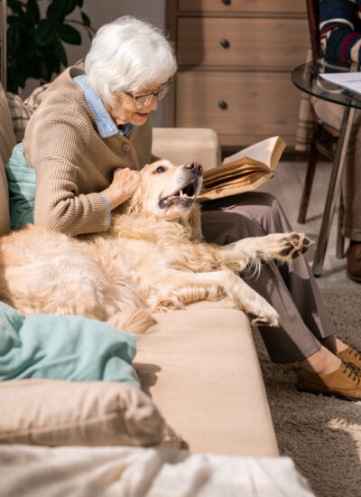 Elderly woman pets her golden retriever with a big smile on her face while reading a book on the couch. The dog is very relaxed and looks happy to be spending time with the woman. To learn more about services for personal and owned pets visit this webpage.